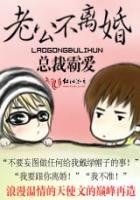 总裁老公不离婚