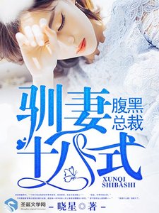 腹黑总裁:驯妻十八式