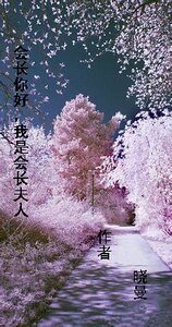 會長你好，我是會長夫人